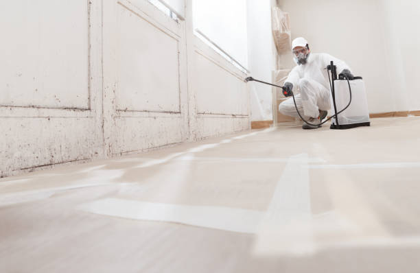 24/7 Emergency Mold Inspection experts in Fountain, NC